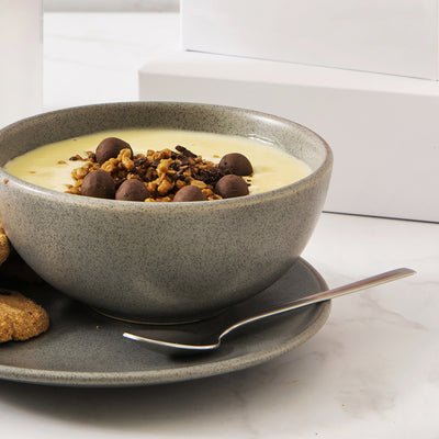 budino proteico profud